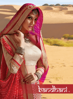 Designer Bandhani Vol - 4